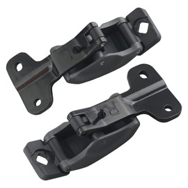 Osompar Rear Quarter Glass Latch Lock Assembly Left Right Side Compatible with Toyota Tundra 2000-2006 Replaces 62920-34012-B1 62910-34012-B2 Gray 2pcs