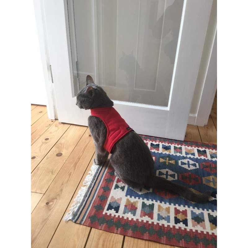 Mynwood Cat Jacket/Harness Red Fleece Kitten up to 8month
