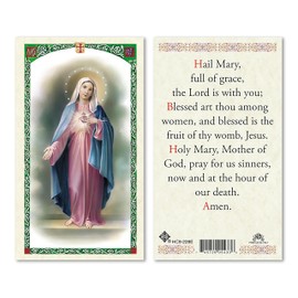 San Francis Imports Hail Mary Full of Grace Laminated Holy Prayer Card
