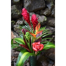 Hawaiian Tropical Taste Fresh Flower Arrangement - GROWN IN HANA, HAWAII TO ORGANIC STANDARDS - Includes Bold Tropical Flowers & Greenery - A Total of 14 Stems!