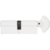 Rockwell Security 360 Degree Solid Brass Euro Profile Cylinder in
