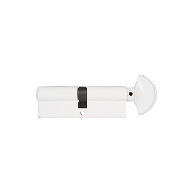 Rockwell Security 360 Degree Solid Brass Euro Profile Cylinder in