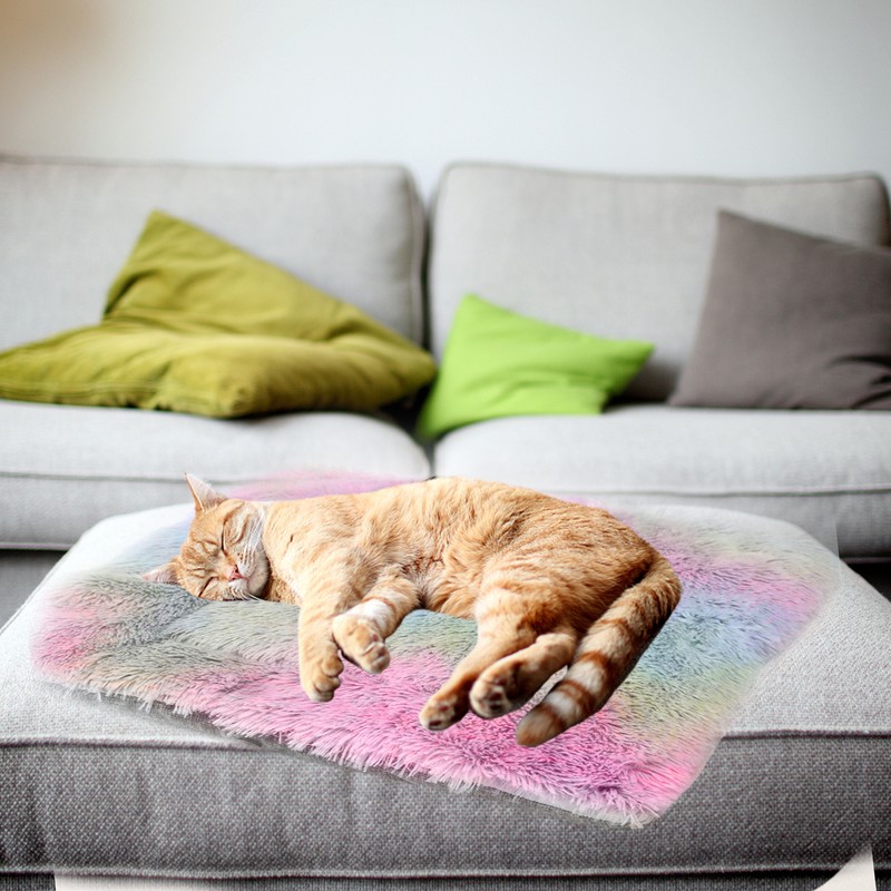 Cat Bed Washable Cat Beds for Indoor Cats Pet Bed
