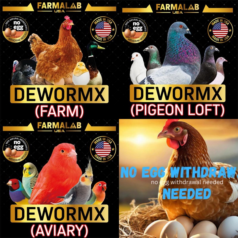 Farmalab Probiotics Extra Strength for Pigeons, 100 Tablets, Immune Support