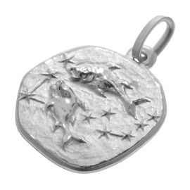 trendor Zodiac Sign Pisces with Necklace 925 Silver Diameter 16 mm Zodiac Sign Pendant Sterling Silver for Women, Men or Children, 08441-03, Sterling Silver