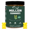 EOCUTE Mullein Gummies 9-in-1 Supplement with Quercetin, Bromelain, Elderberry &