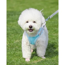 Solmoony Dog Harness for Small Medium Dogs,Easy to Put on Soft Mesh Dog Harness and Leash Set for Kitten and Puppy，Step in Adjustable Dog Harness with Padded Vest (M, Pink)