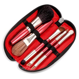 Protable Mini Set de brochas de maquillaje con estuche de viaje, 5 piezas de brochas cosméticas (pelo natural y sintético), incluye base de contorno, mezcla, rubor y pinceles de sombra de ojos (tamaño de viaje)
