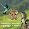 4 Pack Bird Feeder, Suet Ball Feeders for Outside Hanging,