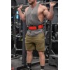 Lifting Belt for Weightlifting, Cross-Training, Olympic Lifting & Bodybuilding |