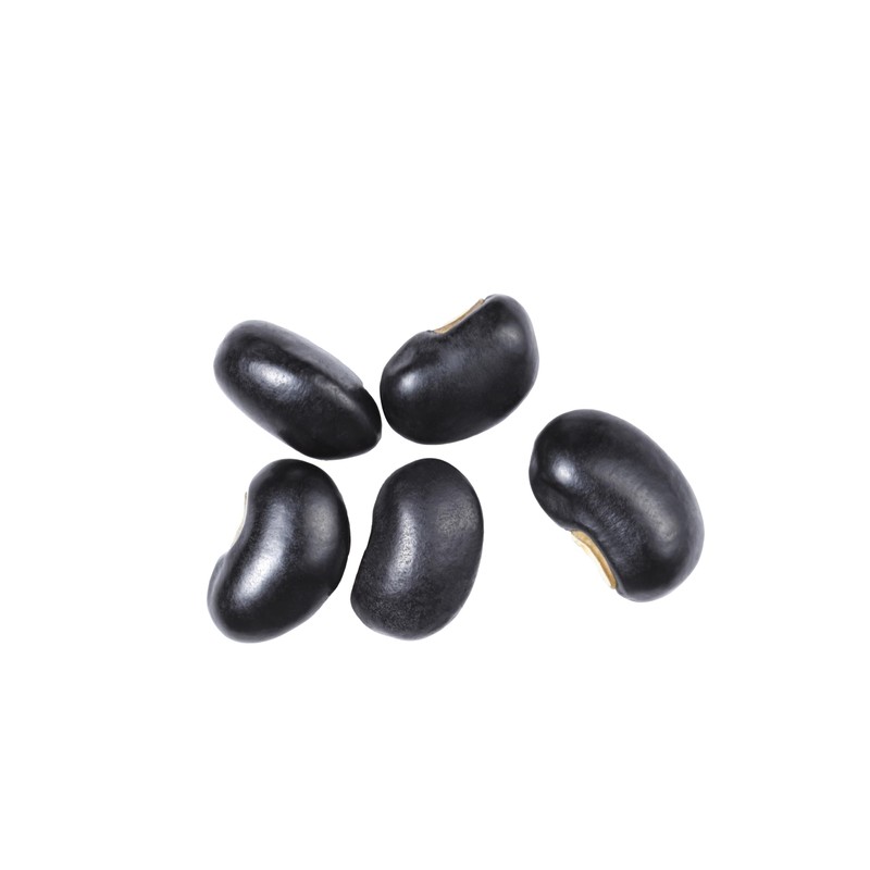 Black Beans, 1 Pound Bulk Bag
