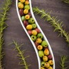 Swerve 6 Ounce Olive Plate, 1 Curved Olive Tray -