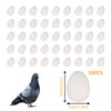 aleawol Pack of 50 Fake Pigeon Eggs, Solid Plastic Pigeon