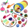 Mumoo Bear 20 Pcs Cat Toys for Indoor Kitten, Collapsible