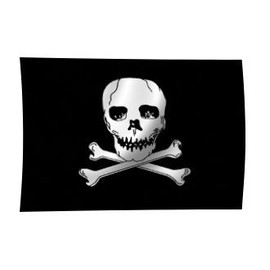 AES Jolly Roger Red Cap Stick Flag