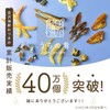 Uchino Serrated Squid, 17.6 oz (500 g), Surume Squid, Commercial