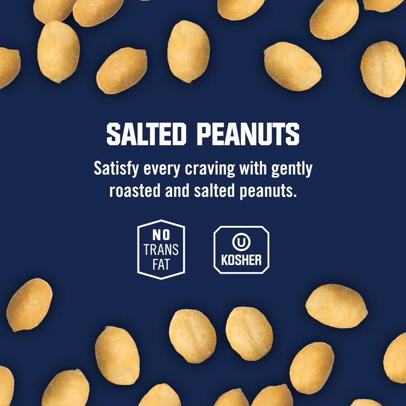 Kar’s Nuts Roasted & Salted Peanut Snacks, 3.5 oz Individual