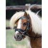 BUSSE Little Bridle