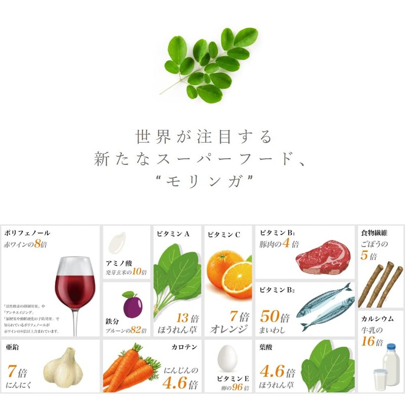 【 鹿児島県 佐多岬産 】国産 モリンガ パウダー 80g モリンガ粉末 無農薬 無添加