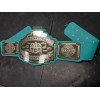 Game Night Championship Title Belt Wrestling Wwe Family Board Games