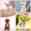 SlowTon Dog Harness with Lead, No-Pull Lightweight Soft Suede Puppy