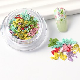 Spring 3D Dried Flowers Nail Stickers Colorful Dry Floral for Nails Kit - Cute Mini Mix Flower Petals Nail Stickers Natural Floral Dried Flower Decals for Nails Design Spring Manicure for Women