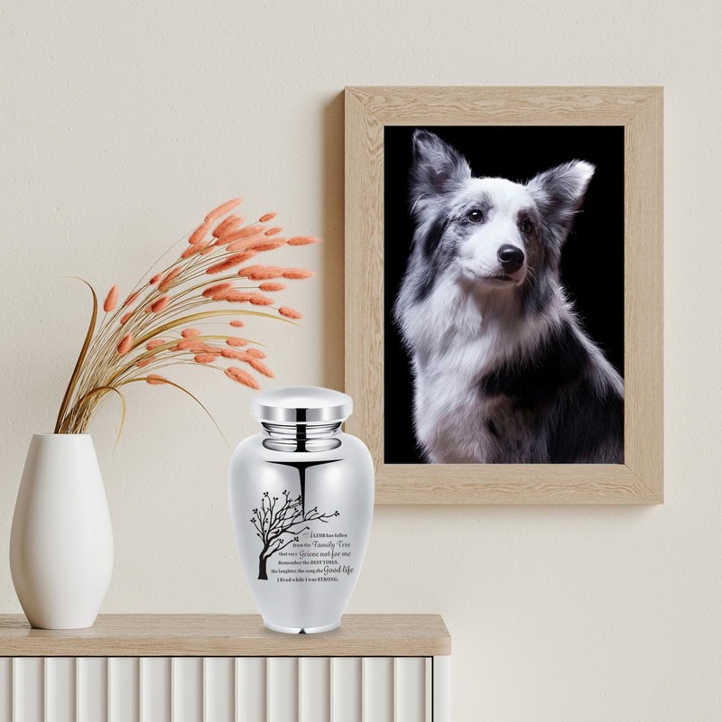 Urns for People Ashes Keepsake Cremation Urn Funeral for Pet