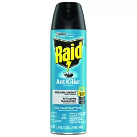 Raid Aerosol Ant Killer 17.5 oz. - Total Qty: 1