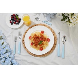 ANNOVA Silverware Set Stainless Steel Colorful Handle Tableware Kitchen Flatware Set Utensils, Includes Dinner Knives, Forks, Spoons, Salad Forks & Dessert Spoons (Light Blue, 20 Pieces)