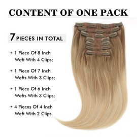 Sixstarhair Remy Hair Extensions Clip In Human Hair Balayage Hair Clip Extensions Balayage Ash Brown Fading to Dirty Blonde and Ash Blonde 140g Full Pack [B8-18-60# 18inch]