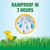 Roundup for Lawns₁ Ready-to-Use with Extend Wand, Tough Weed Killer