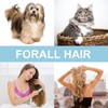 3 Stück Tragbarer Fusselentferner，Tragbarer Tierhaarentferner，für Hunde, Couch, Kleidung, Teppich, Pullover.