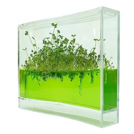 Plantarium Super