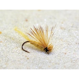 X Caddis Dry Fly Tied on Mustad Signature Hooks - 12 Flies (12ct Hook Assortment)