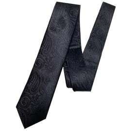 MaRowsm Men's Necktie, Suit, Formal, Business, Job Hunting, One Color Paisley, Black