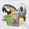 Psittacus High Energy Hand-Feeding Formula 2.2 lb | Diet for