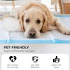 100 Pack 30"x36" Extra Large Dog Pee Pads - Super