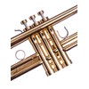 Trumpet Trim Kit for improving the sound. For all Bach