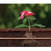 Rain Bird SSF70-50S Drip Irrigation Pressure Compensating 1/2" (0.700" OD)