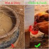 Automatic Chicken Water Cups 12 Pack Poultry Waterer Kit for