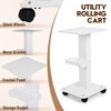 3 Tier Trolley Cart with Wheels - Esthetician Cart for