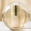 Prolance 프로랑스 프리미엄 비비 파운데이션 40ml 2개 [21호] Prolance Premium