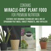 Miracle-Gro Succulent Potting Mix, For Indoor Succulents, Aloe Vera and