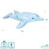 Intex - Accesorio Inflable para Piscina con Delfines Lil para