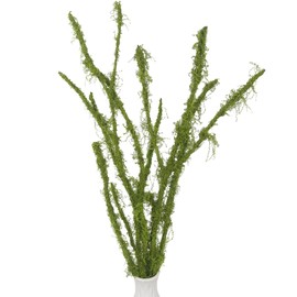 FAICOIA 5 Pcs Fake Moss Ficus Twig Plants Faux Branches for Vase Filler Artificial Greenery Stems Silk Moss Green Plants for Home Office Party Wedding Shop Decoration