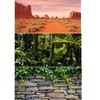 Duedusto 3 Pcs Reptile Tank Background, Bearded Dragon Tank Accessories,