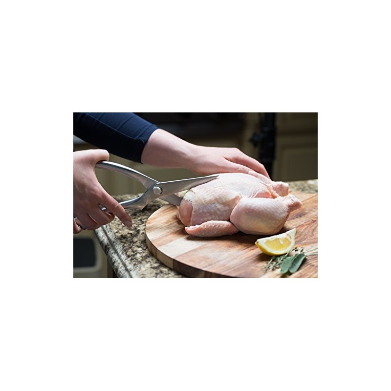Westmark Stainless Steel Poultry Shears