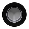 Airvana Replacement True HEPA Filter for AV600APH 2-in-1 True HEPA