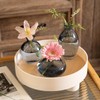 ATDORO 3 Pcs Mini Bud Vases, Clear Bud Vases for