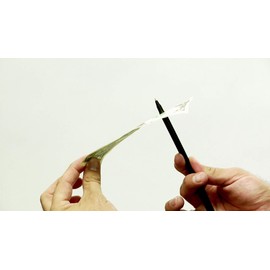 Magic Makers Pen Trick Original - Easy Pen Thru Dollar Bill Penetrating Trick